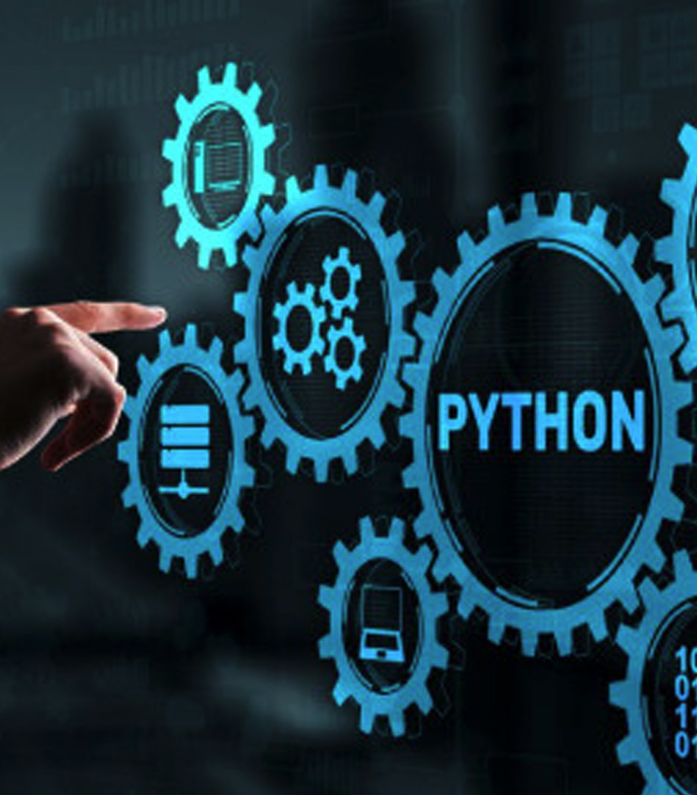 What Makes Python the go-to Language for Data Scientists?