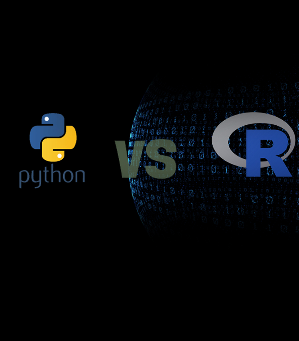 Which Programming Language is Ideal for Data Science: Python or R?