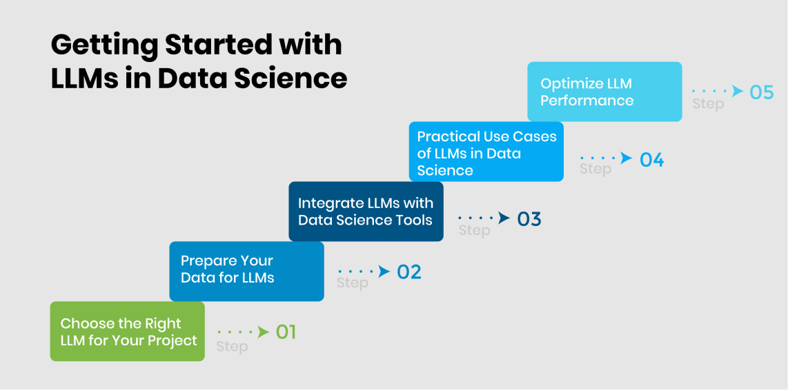 Getting Started with LLMs in Data Science