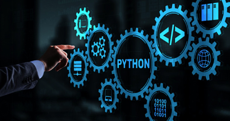 What Makes Python the go-to Language for Data Scientists?