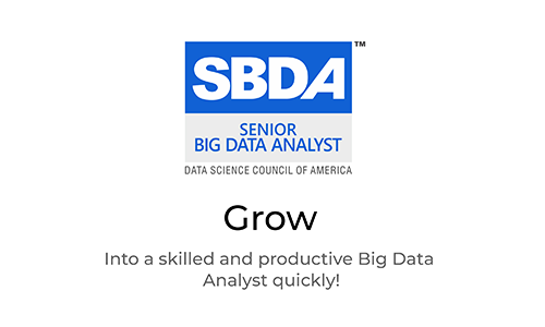 Senior Big Data Analyst