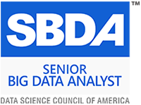 Senior Big Data Analyst Certification
