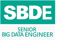 Senior Big Data Engineer